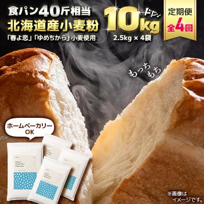 ふるさと納税 室蘭市 【毎月定期便】「春よ恋」「ゆめちから」ブレンド小麦粉 パウダースノー(パン用強力粉)10kg全4回