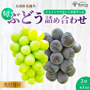 【先行受付】厳選！旬のぶどう詰め合わせ約1kg（2房） 2026年9月上旬から順次発送 種なし シャインマスカット 品種 農園おまかせ ピオーネ BKシードレス 安芸クイーン クイーンニーナ スカーレット お楽しみ 人気 葡萄 贈答 お中元 プレゼント 厳選 フルーツ 205001