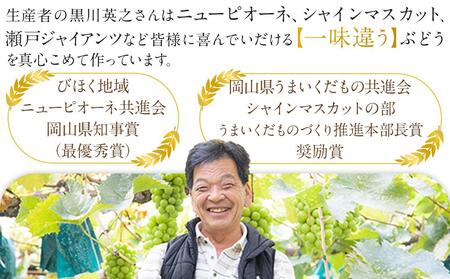 ぶどう 2024年 先行予約 黒川農園 自慢 ! の 大粒 大房 シャイン マスカット 2房 （1房 800g以上） ブドウ 葡萄  岡山県産 国産 フルーツ 果物 ギフト [No.5220-0582