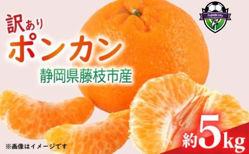 
            【先行予約】※2026年1月下旬より発送 訳あり みかん 5kg （M～2Lサイズ） ポンカン ミカン 果物 国産 フルーツ 柑橘 数量限定 静岡県産 蜜柑 大小 ミックス 不揃い ビタミン 美味しい 静岡県 藤枝市 ponkan mandarin orange 国産 家庭用 お取り寄せ FG320-3930
          