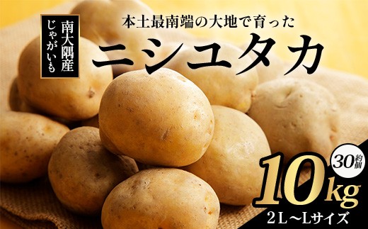 【先行予約】じゃがいも 馬鈴薯 (バレイショ) ≪2L～L≫ 約10㎏×1箱 /品種ニシユタカ (約30個) ≪ 2026年3月20日頃より順次発送≫ CS-1｜産地直送 旬 ジャガイモ 芋 ポテト ばれいしょ 新じゃが 春じゃが 春作 鹿児島県 南大隅町 地域商社推進機構