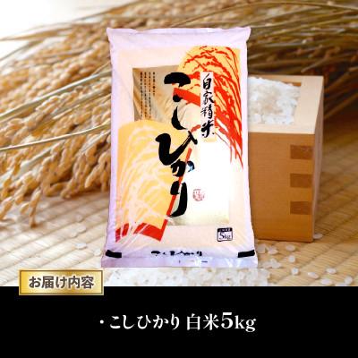 ふるさと納税 竜王町 令和7年産 新米 近江米 こしひかり 白米 5kg |  | 01