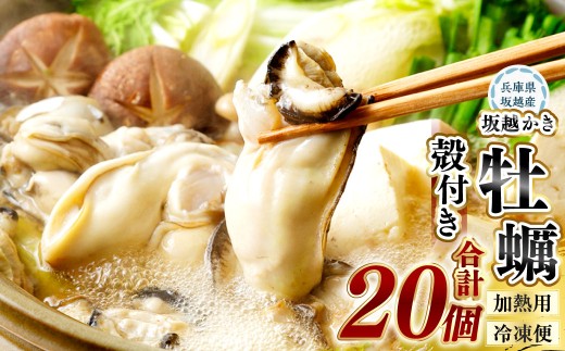 【冷凍】坂越かき 殻付き20個（加熱用） 牡蠣 カキ 海鮮 貝