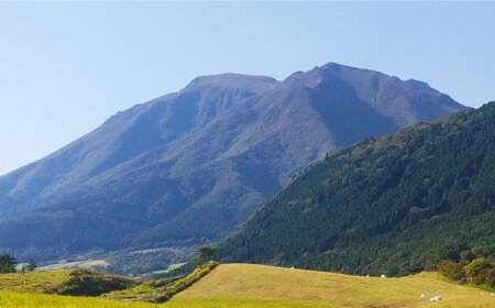 竹田銘水美人色選米（ 普通慣行米 ）約5kg × 2袋 計約10kg