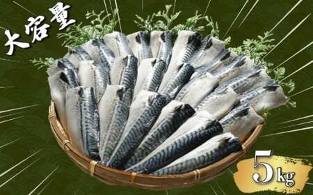 適塩さば 昆布エキス入り 約5kg さば 鯖 適塩 適塩サバ 適塩鯖 さばフィーレ 鯖フィーレ さばフィレ 鯖フィレ 切り身 切身 昆布エキス 食べやすい 小分け 個別冷凍 お弁当 惣菜 おかず 料理