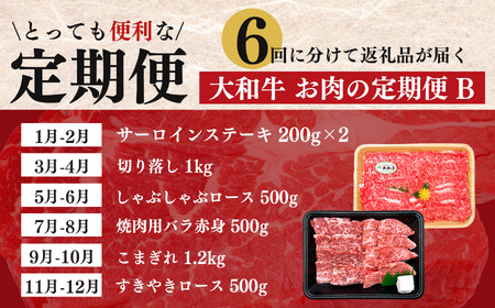 【定期便6回】大和牛 お肉の定期便 B