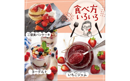 【先行受付】あまおう いちご 1,080g (約270g×4パック) 【2027年1月中旬以降順次発送】糸島市 / 株式会社HSP-テクノ [AZL001] ブランド いちご あまおう イチゴ 苺 フ
