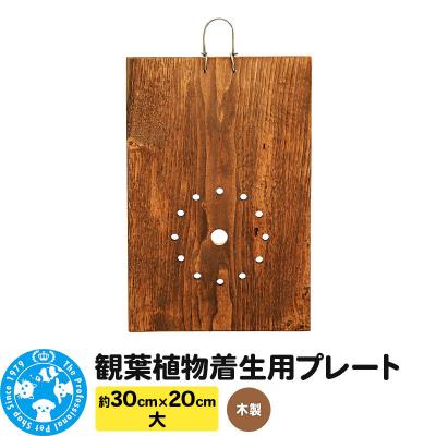 ふるさと納税 邑楽町 観葉植物着生用プレート 木製 大(約30×20cm) 1枚|09_chm-cm0101ab