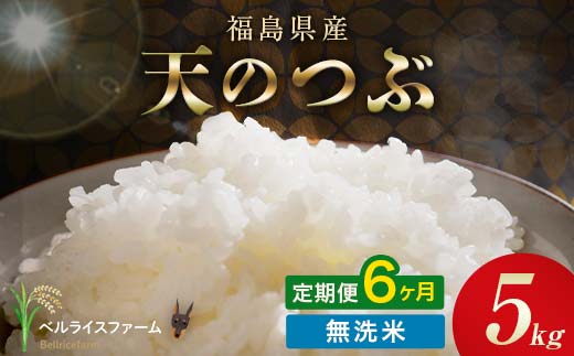 〈先行予約〉令和8年産【お米の定期便】6ヶ月配送 農家直送 ベルライスファーム 天のつぶ 無洗米 5kg F6U-452