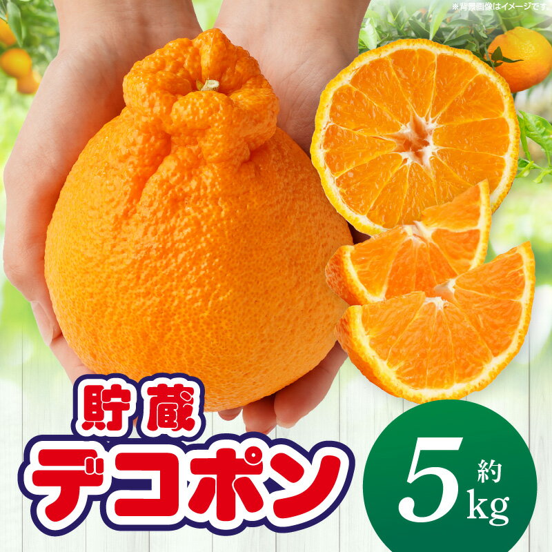 【ふるさと納税】三木町産デコポン　約5kg(12〜24玉) デコポン 甘い 酸味 柑橘 柑橘系 オレンジ 果物 フルーツ 青果 デザート おすすめ 取り寄せ 香川県 三木町