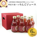 【ふるさと納税】りんごジュース　中まで赤〜いりんごジュース180ml×6本　【飲料類・果汁飲料・りんご・ジュース・りんごジュース・ジュース】