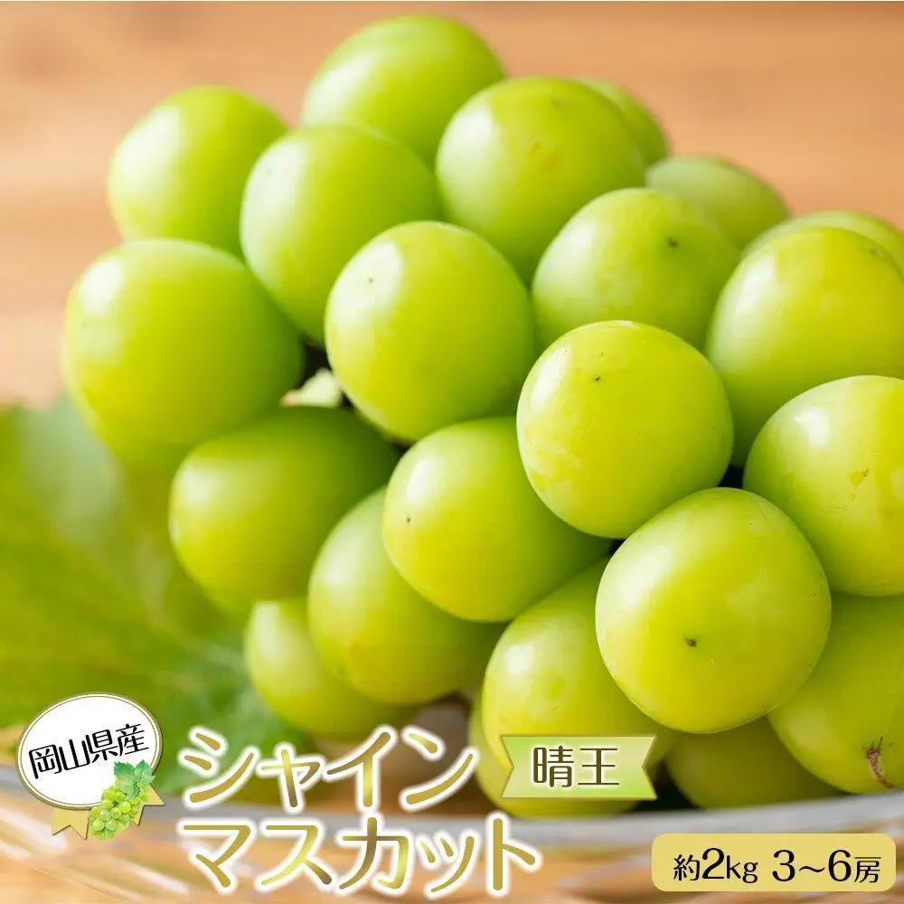 岡山県産 ぶどう 2026年発送 シャインマスカット 晴王 約2kg 3～6房 種無し 葡萄 フルーツ 果物 ギフト | シャインマスカット