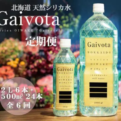 ＜定期便 Gaivota2箱(500ml×24本＋2L×6本)×6回分＞北のハイグレード食品 天然シリカ水 ミネラルウォーター