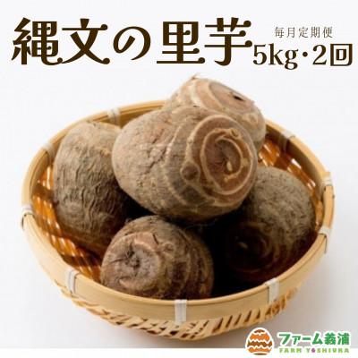 ふるさと納税 小矢部市 【毎月定期便】富山県小矢部市産「縄文の里芋」5kg全2回