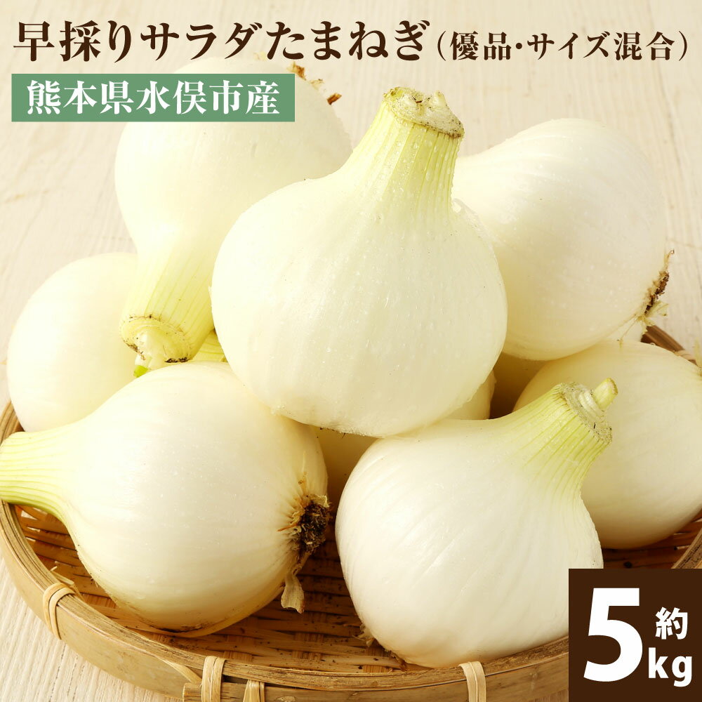 【ふるさと納税】1年に1度だけ!甘くて柔らかい!早採りサラダ玉ねぎ 約5kg 優品 サイズ混合 M～2Lサイズ 玉ねぎ タマネギ 玉葱 サラたま 春 新たまねぎ 国産 熊本県 水俣市産 送料無料 ＜栽培期間中農薬不使用/熊本県水俣市産/耕人舎＞【2026年3月下旬-4月下旬順次発送予定】