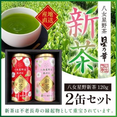 ふるさと納税 新宮町 【新茶】八女星野茶(120g×2缶)/2026年5月〜7月中旬頃発送【八女茶】.AA381