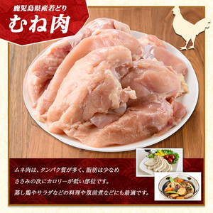 若どりムネ肉(計12kg・2kg×6袋) 鶏むね肉 小分け 鶏肉 むね肉 鶏肉 むね 【まつぼっくり】matu-6095｜ 鶏肉 鶏むね肉  鶏ムネ肉 鶏肉 むね 鶏肉 ムネ 鶏肉 むね肉 鶏肉 ムネ