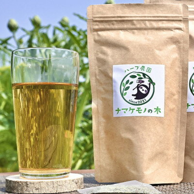 【ふるさと納税】知多半島 半田市産　和ハッカのハーブティー「ハッカ」1袋(1.5g × 10パック入り)【1436877】