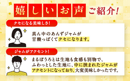 花ぼうろ あんずジャム入り 10個 / 佐賀県 / 株式会社北島 [41AABN005]