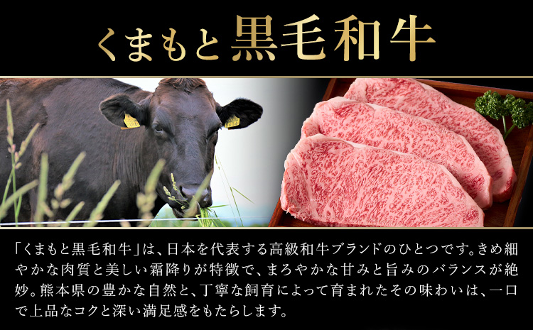 くまもと黒毛和牛・サーロイン約500g《60日以内に出荷予定(土日祝除く)》