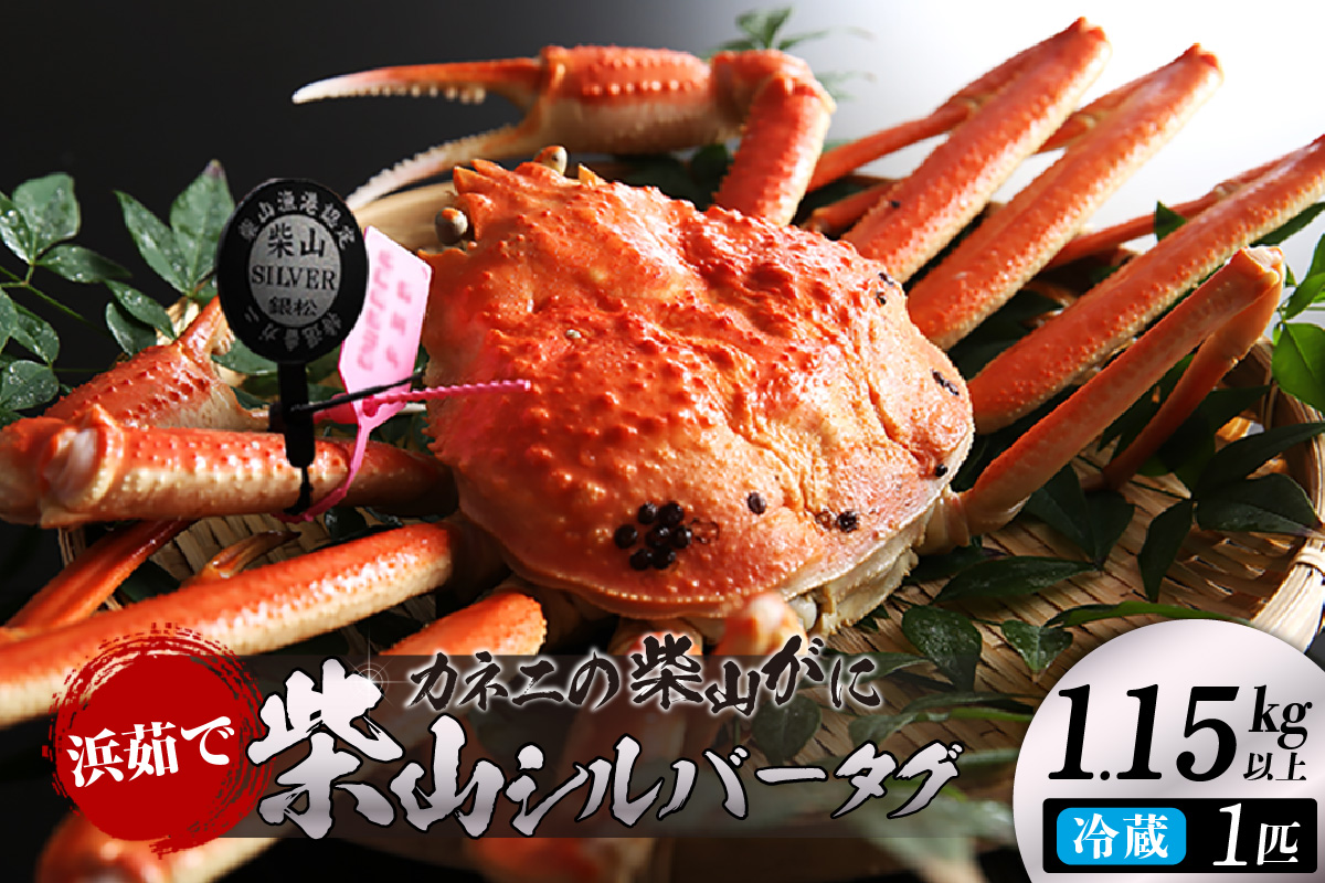 【先行予約】【カネニの浜茹で柴山がに 柴山シルバータグ付き ボイル後1.15kg以上】 令和7年11月以降、水揚げ次第順次発送予定 冷蔵 高級 かにすき 焼きガニ ボイル 兵庫 香美 香住 06-23