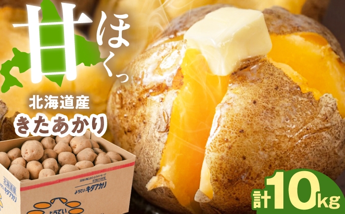 
                  【9月下旬以降順次発送】じゃがいも キタアカリ 10kg 《喜茂別町》【Aコープようてい】 じゃがいも いも きたあかり 芋 ジャガイモ イモ 野菜 北海道 ポテト 国産 産地直送 旬 お取り寄せ 常温 [AJAK010]
                