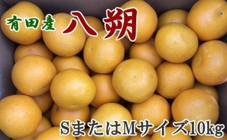 【手選果】有田産の八朔10kg（SまたはMサイズいずれかお届け）＜2024年1月下旬頃～2月下旬頃に順次発送＞【tec845】