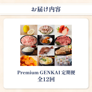 【12回定期便】～Premium GENKAI～定期便 ／ フルーツ 佐賀牛 米 バラエティ 定期便 【Z001】