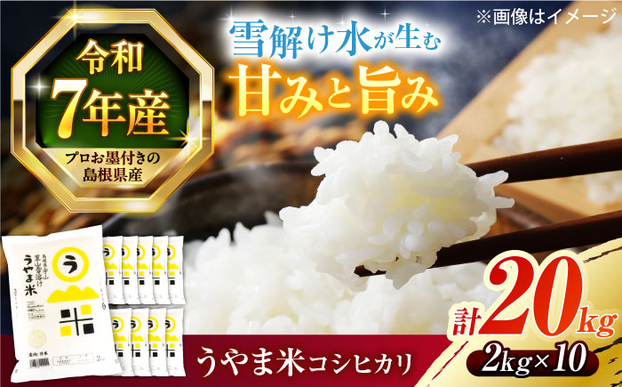 【令和7年産】雪解け水で育った 島根県産「うやま米 コシヒカリ（雲南市吉田町）」20kg(2kg×10) 島根県松江市/有限会社藤本米穀店 [ALCG011]