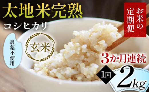 お米の定期便 農薬不使用米 太地米完熟 【こしひかり】 玄米2kg×3か月連続 ブランド米 お米 人気 F7X-0400