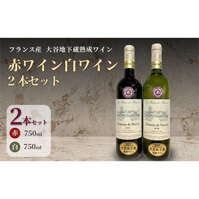ふるさと納税 宇都宮市 大谷の天然地下蔵で深みを増すワイン ラングドック赤白 2本セット