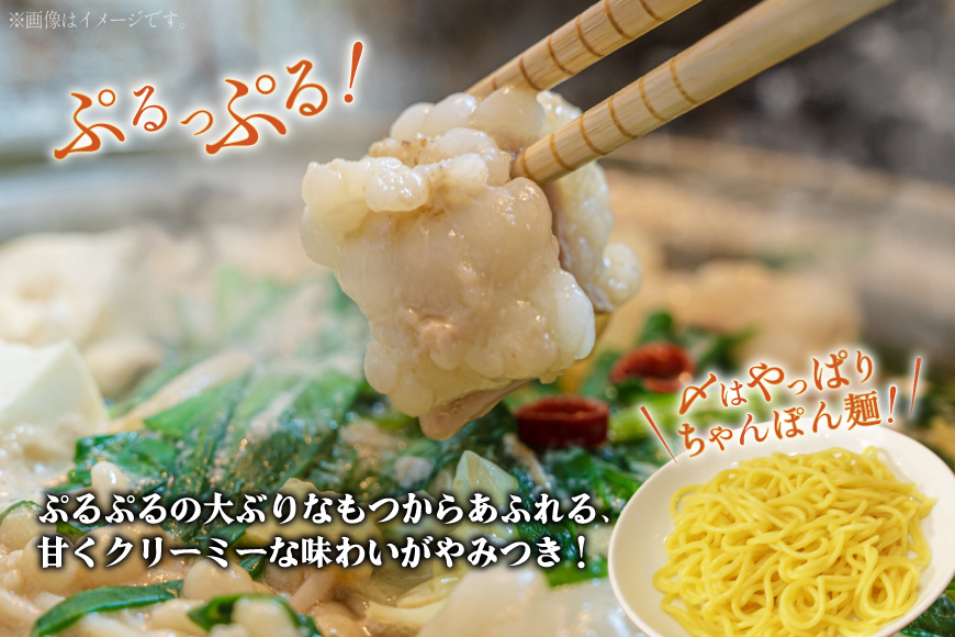 もつ鍋 博多もつ鍋やまや もつ鍋セット あごだし醤油味 5～6人前 ちゃんぽん麺 薬味付 [やまやコミュニケーションズ 福岡県 宇美町 um40azo860004] もつ鍋セット モツ鍋 国産 牛モツ