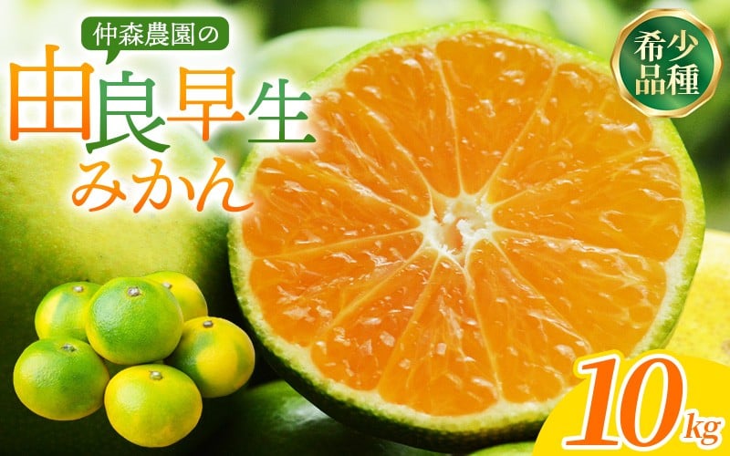 
                  【数量限定】仲森農園の由良早生みかん 約10kg みかん ミカン 蜜柑 温州みかん 温州ミカン 柑橘 ゆら早生 フルーツ 果物 くだもの 早生 甘い 旬 希少 数量限定 期間限定 産地直送 三重県 熊野市【2026年11月上旬頃～11月中旬頃に順次発送】【nkmr0022】
                