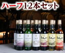 【ふるさと納税】十勝ワイン ハーフ 12本セット(360ml×12本） 北海道ワイン 国産ワイン 受賞ワイン