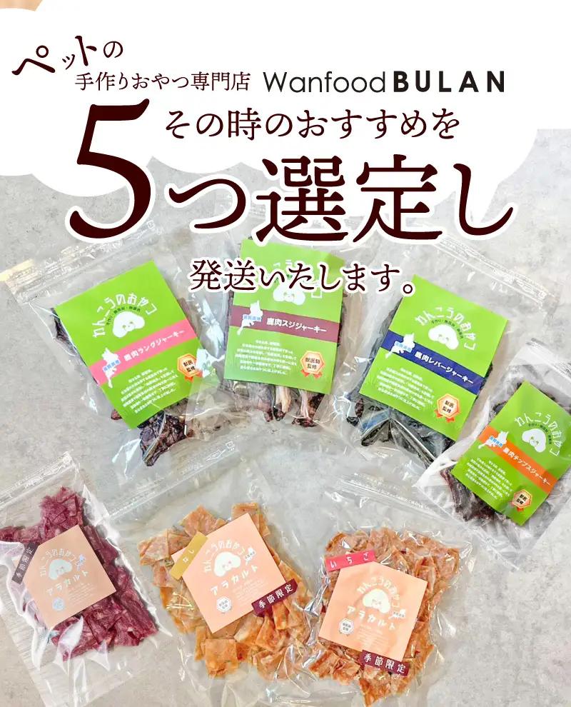 愛犬の手作りおやつ 大袋5点セット　全犬種対象 鹿肉 ペット ペットフード ジャーキー チップス 詰め合わせ Wanfood BULAN DK-0004