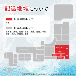 【関東のみお届け】 強 炭酸水レモン 1L 12本 計12L サーフ爽雫 ソーダ 国産【配送不可地域：離島・北海道・沖縄県・東北・信越、北陸・東海・近畿・中国・四国・九州】【1532982】
