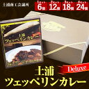 【ふるさと納税】土浦ツェッペリンカレーDeluxe 220g 6個 12個 18個 24個｜レトルト 防災 備蓄 非常食 保存食 キャンプ アウトドア※離島への配送不可