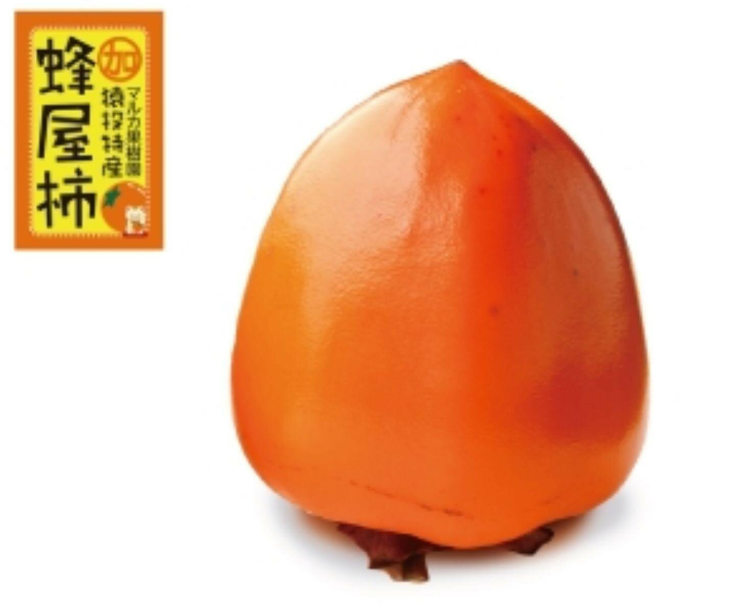 【ふるさと納税】＜先行受付＞蜂屋柿　約6kg 【2026年10月中旬以降順次発送】