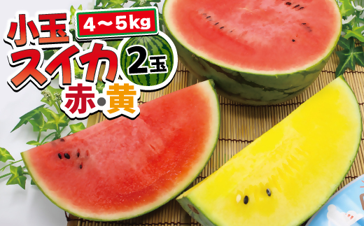 【2026年6～7月出荷】【JAむなかた直送】小玉スイカ（赤・黄）2玉（計4～5kg）[H2272]