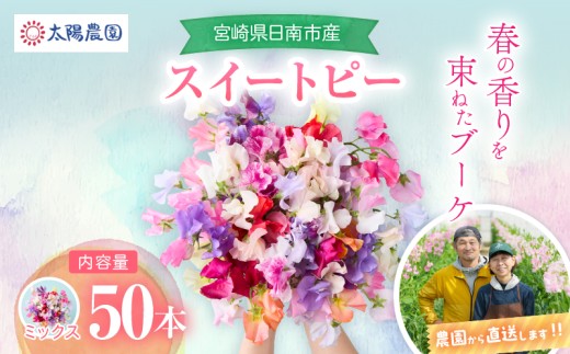 スイートピー 花束 50本 ミックス系 フラワー 生産者直送 新鮮 花 植物 観賞用 国産 インテリア用品 贈り物 ギフト プレゼント お祝い 誕生日 記念日 おすすめ 癒し 選べる 宮崎県 日南市 送料無料_CB123-26