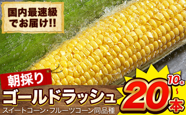 
            日本最速級出荷 朝採り ゴールドラッシュ 10本 20本入り 3L-Lサイズ 《6月上旬- 6月末頃出荷》 熊本県 大津町 スイートコーン フルーツコーン とうもろこし トウモロコシ
          