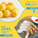 【ふるさと納税】広島有機レモン 10kg(12~1月発送) / 塩田熟成活車海老 ノーマルサイズ 250g 瞬間凍結 オーガニック 有機栽培 有機JAS れもん えび エビ エビフライ 晩酌 国産 瀬戸内 濃厚 甘さ控えめ 免疫力向上 健康 ビタミンC クエン酸 抗酸化 ソーダ 炭酸水
