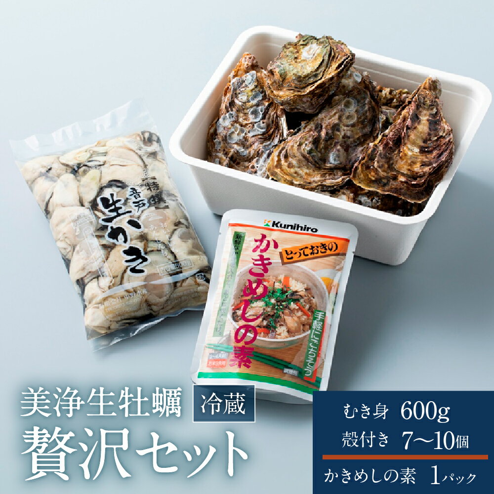 【ふるさと納税】 先行予約 中野水産 美浄生牡蠣 むき身 と 殻付き の 詰め合わせ 【2025年12月上旬より発送】 牡蠣 生かき 国産 広島かき 牡蠣ナイフ レモン かきめしの素 セット 食べ比べ 牡蠣飯 簡単 炊き込みご飯 旬 先行受付 冷蔵便 送料無料 産地直送 広島県 呉市