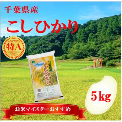 ふるさと納税 大網白里市 【令和6年産】【特A評価】千葉県産「コシヒカリ」精米 5kg(5kg×1袋)