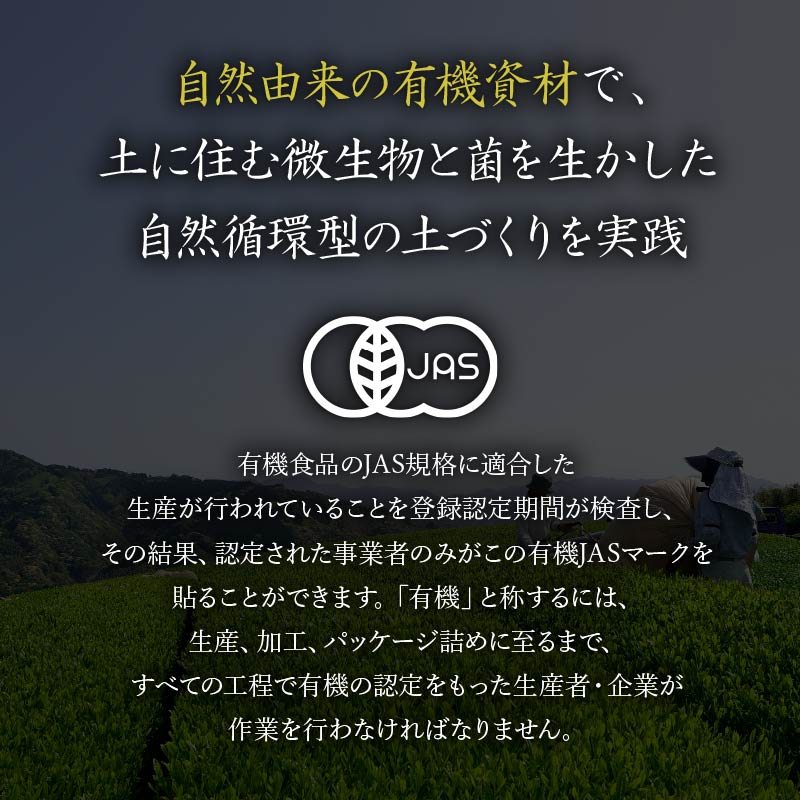 有機茶園 ほうじ茶 ティーバッグ (2.5g×10包)  3袋セット 無農薬 焙じ茶 オーガニック茶園 静岡県産 深蒸し煎茶 岡部茶 日本茶 静岡県 飲料 飲み物 健康 カテキン ビタミン 静岡県 藤