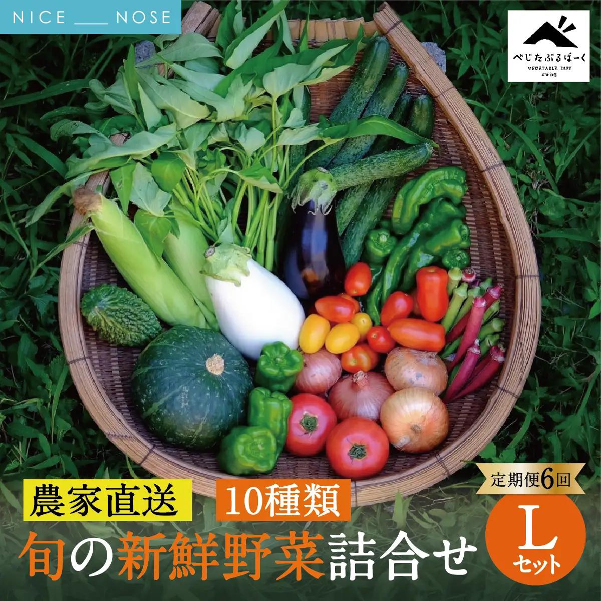 [定期便 6回] 【大阪能勢産】 《農家直送》 べじたぶるぱーくの旬の新鮮野菜詰合せ Lセット (10種類) | 6回(隔月)  定期便 6ヶ月 定期 野菜詰め合わせ 野菜 農薬 化学肥料不使用 新鮮