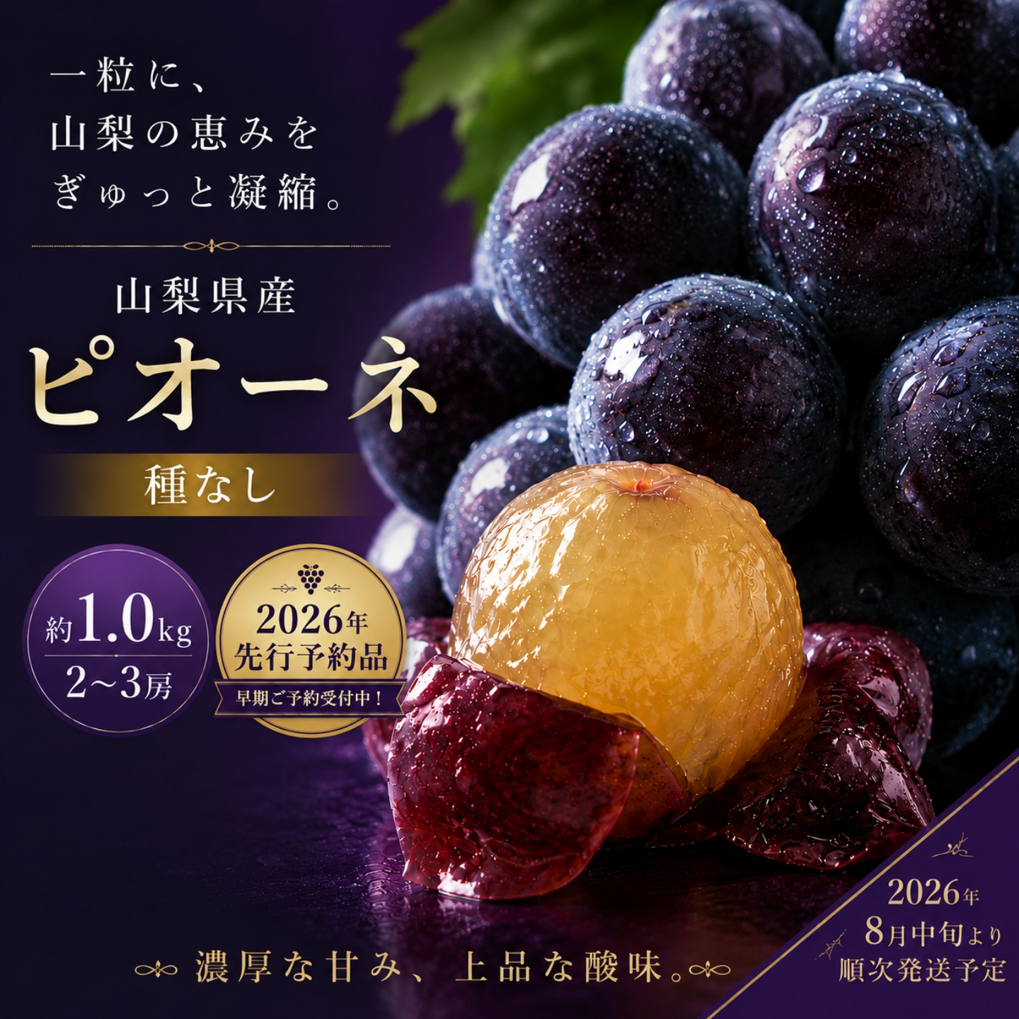 【2026年発送！ 】【冷蔵発送】山梨県産　種なしピオーネ2～3房(約1.0Kg）