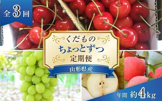 【令和9年産先行予約】 《定期便3回》 くだもの”ちょっとずつ”定期便 『南陽中央青果市場』 山形県 南陽市 [1013-R9]