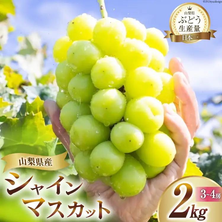 【2026年発送】先行受付 シャインマスカット 山梨 予約 約 2kg 3～ 4房