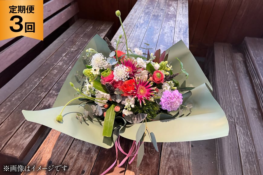 
            花 定期便 冬 生花 アレンジメント Sサイズ 計3回 [ミドリブ 長崎県 東彼杵町 hs42bag220006] お花 アレンジメントフラワー アレンジメント花 玄関飾り
          